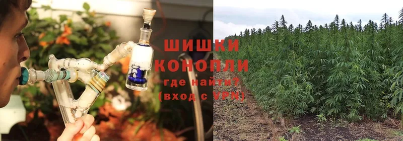 Каннабис Ganja  omg ССЫЛКА  Электрогорск  наркотики 